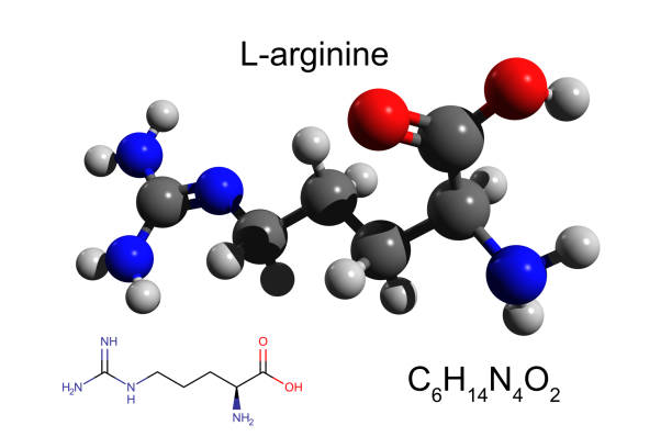 L arginine